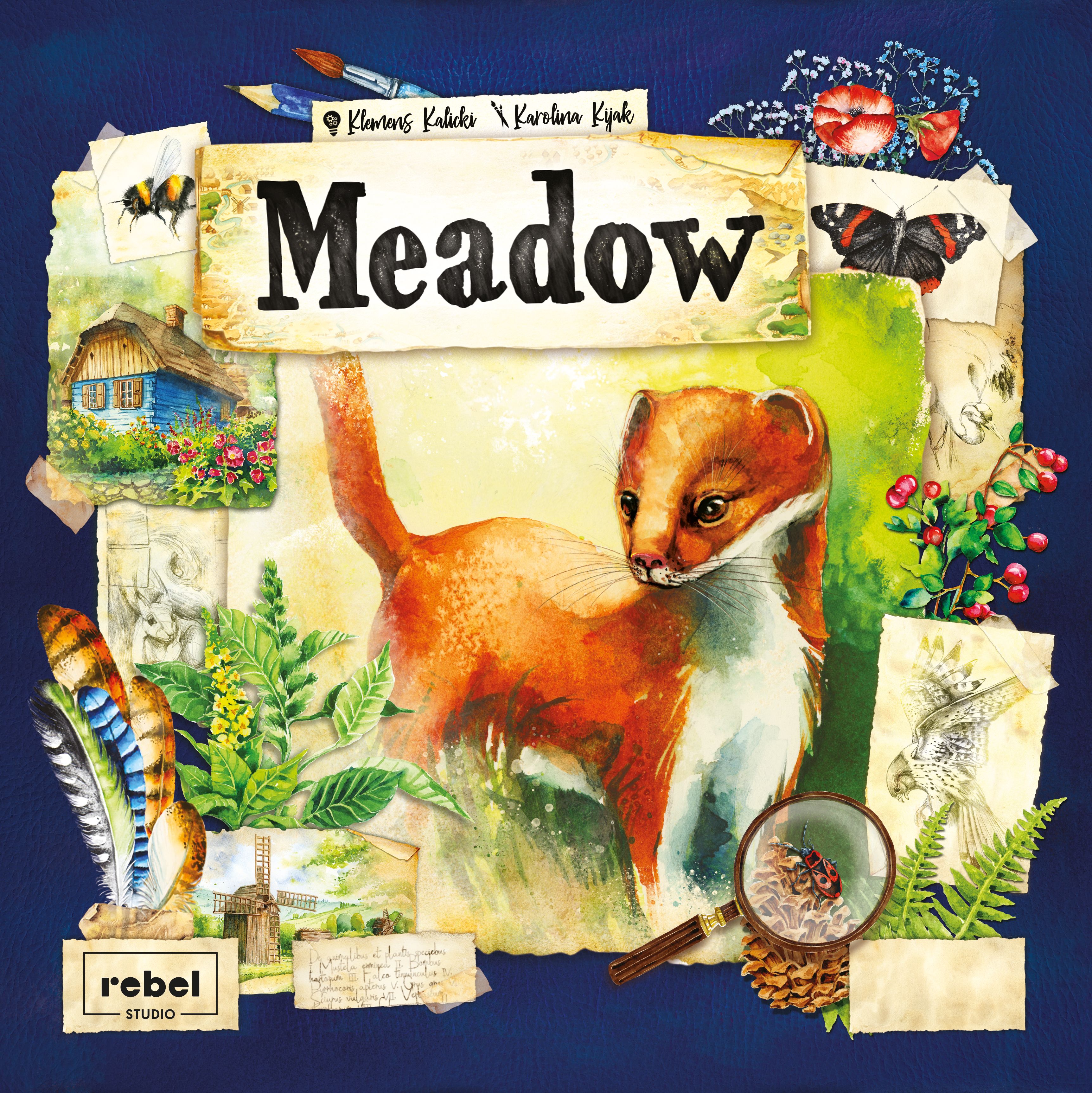 Meadow box art