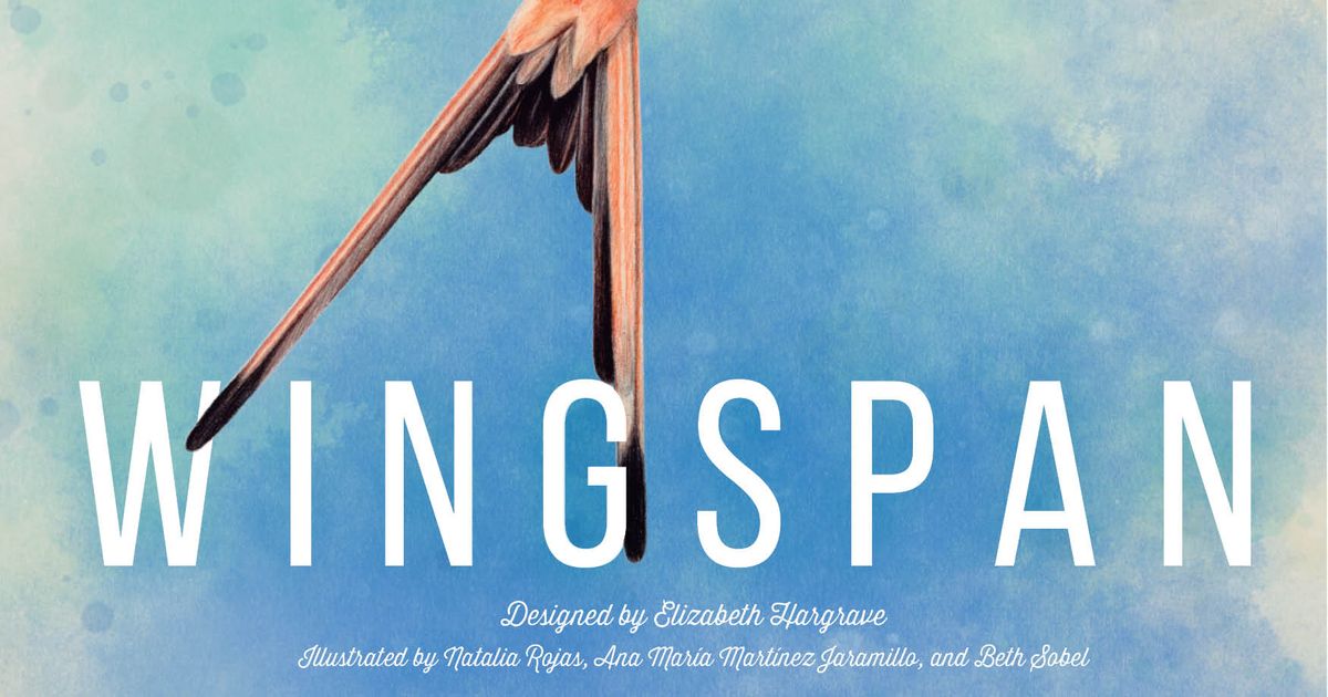 Wingspan - box art