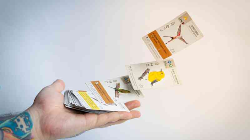 Wingspan components and gameplay header