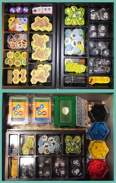 Ark Nova — neatly organised components and player area